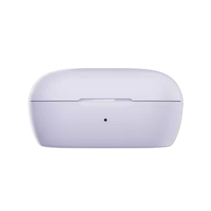 Bose QuietComfort Earbuds Charging Case